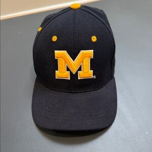 Zephyr Michigan Wolverines Logo Youth Hat